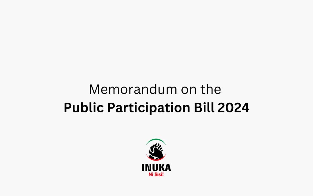 Memorandum on the Public Participation Bill 2024